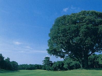 Golf Course Thumbnail 4