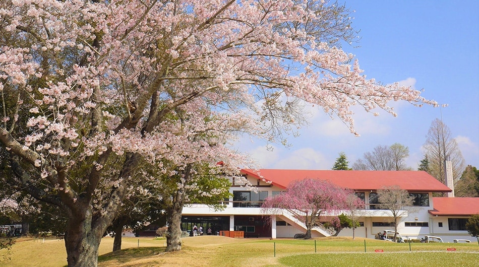 Golf Course Thumbnail 1